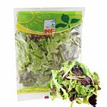  Lettuce Mix 100 G Poly Bag