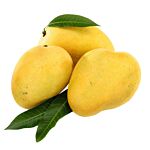 Namdhari Mango Alphanso 1Kg