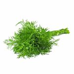  Dill 150G Bunch