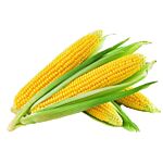 Sweet Corn