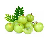  Amla 250G Poly Bag