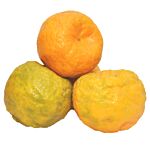 Orange Nagpur 1Kg