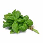 Basil Italian 25 G Poly bag