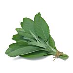 Namdhari Sage 25 G Poly Bag